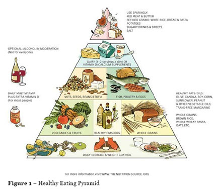 guidelines for healthy diet. adopting a healthy diet,