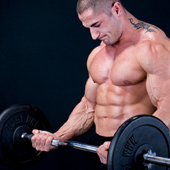 muscle gain