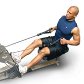 exercise basics