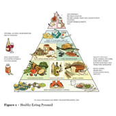 general nutrition