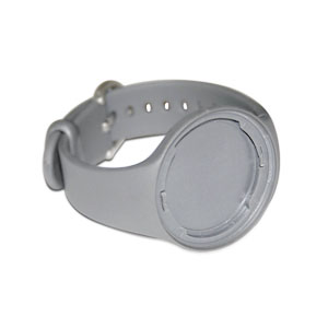 display device watchband - gray