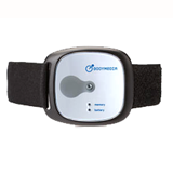 BodyMedia armband