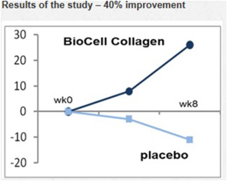 Bio Collagen Study